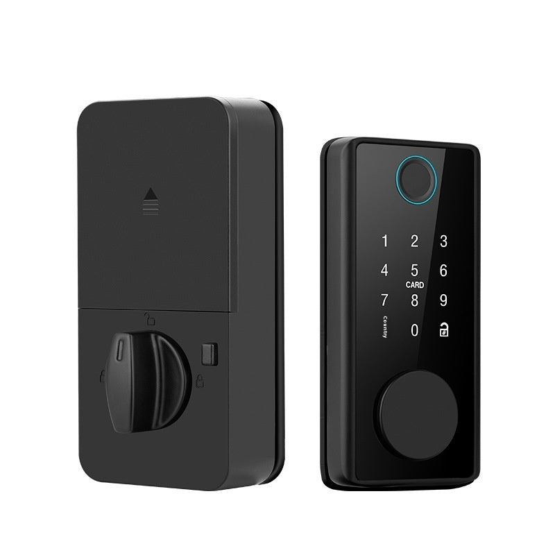 Graffiti Smart Fingerprint Door Lock for Wooden Doors with Auxiliary Closing