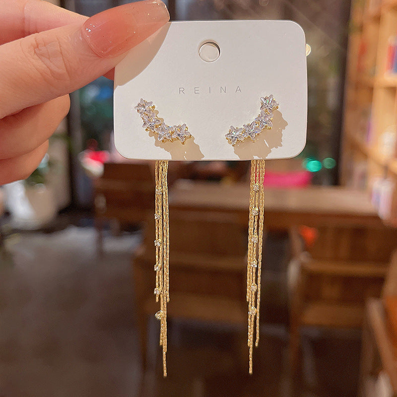 Silver Needle Exquisite Full Diamond Long Fringe Earrings