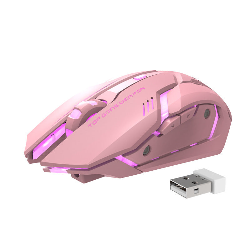 Souris de jeu sans fil, silencieuse et ergonomique 1600 DPI