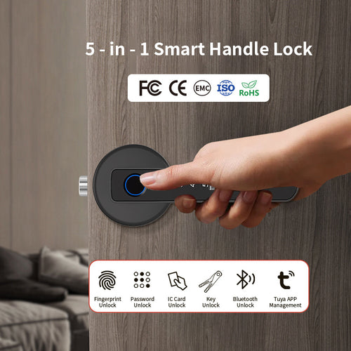 Serrure de porte intelligente Graffiti avec empreinte digitale, Bluetooth et entrée sans clé