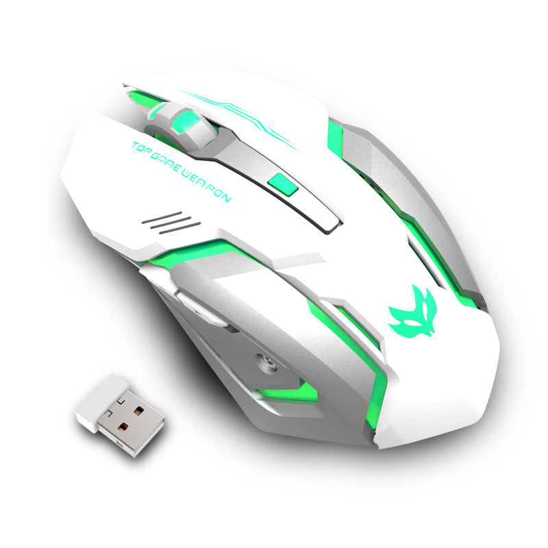 Souris de jeu sans fil, silencieuse et ergonomique 1600 DPI