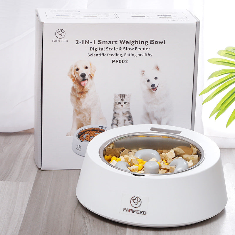 Gamelle à alimentation lente pour animaux de compagnie qui aide à contrôler la vitesse de prise alimentaire