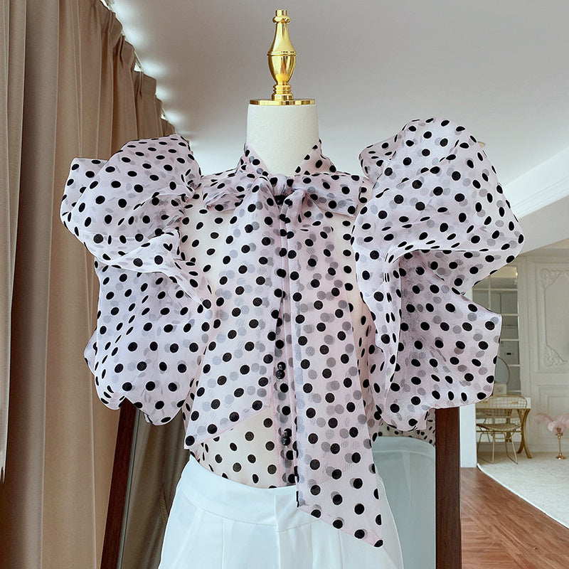 Korean Style Polka Dot Puff Sleeve Ruffled Lined Top