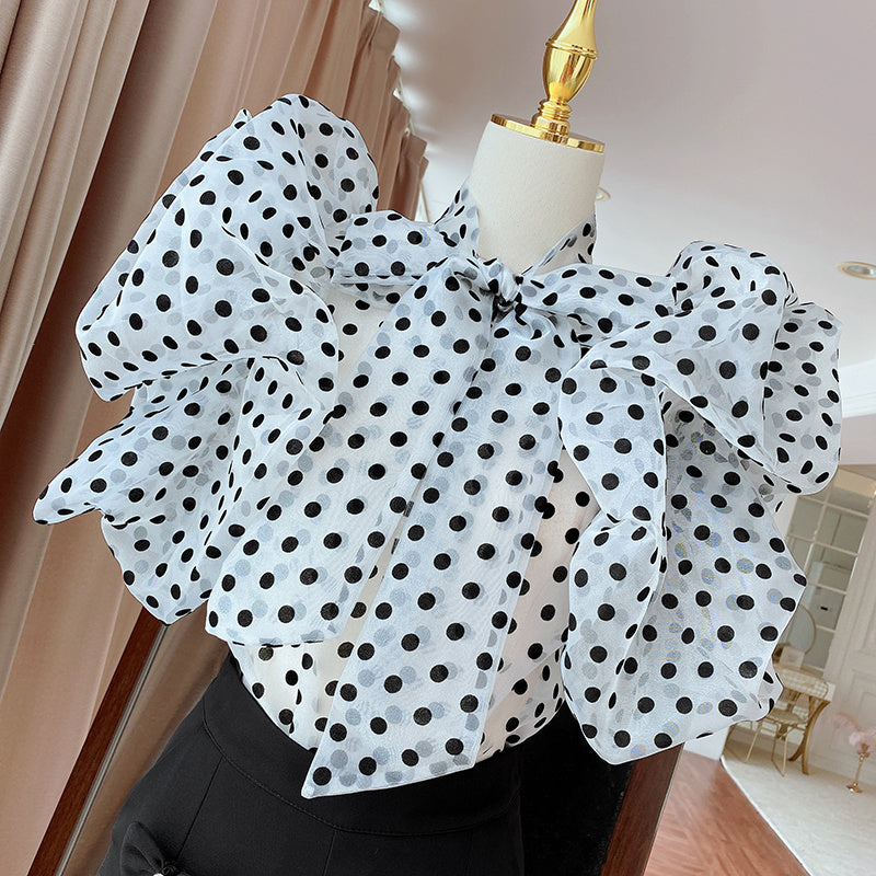 Korean Style Polka Dot Puff Sleeve Ruffled Lined Top