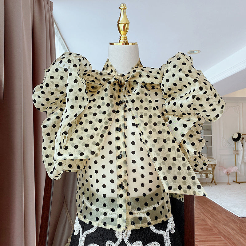 Korean Style Polka Dot Puff Sleeve Ruffled Lined Top