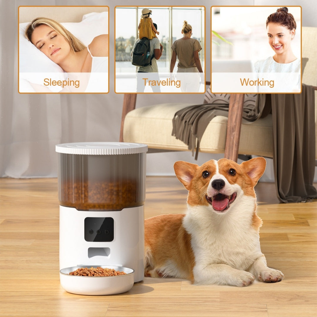 Cat & Dog Automatic Smart Pet Feeder