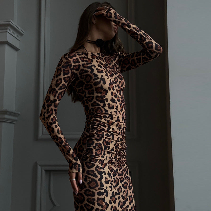 Women's Leopard Print Long Sleeve Round Neck Dress