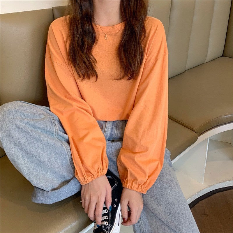 Slimming Lantern Sleeve Sweater Pullover