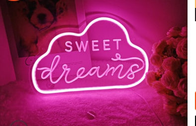LED Neon Light with Acrylic Back Panel USB Powered Room Night Decoration