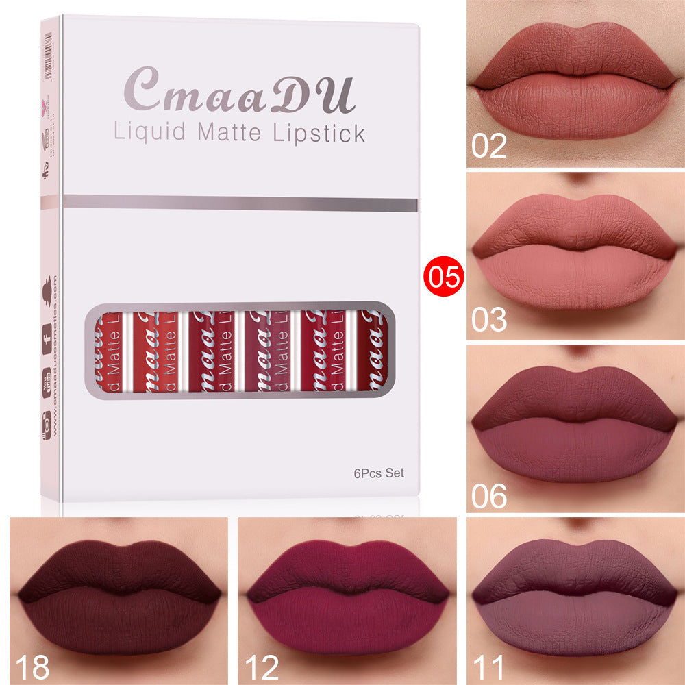 🎁 6 boîtes de rouge à lèvres mat non collant, waterproof et longue tenue (100% de réduction)