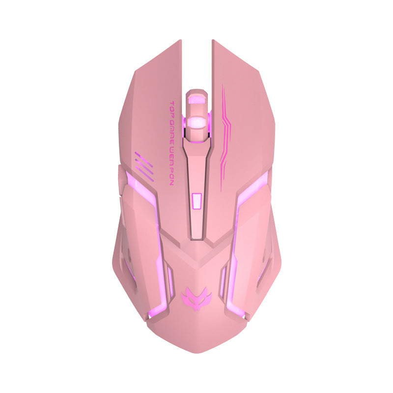 Souris de jeu sans fil, silencieuse et ergonomique 1600 DPI
