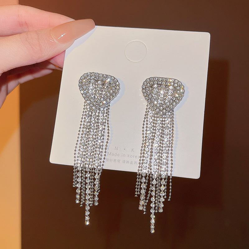 Silver Needle Exquisite Full Diamond Long Fringe Earrings