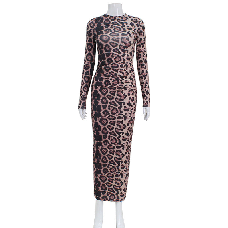 Women's Leopard Print Long Sleeve Round Neck Dress