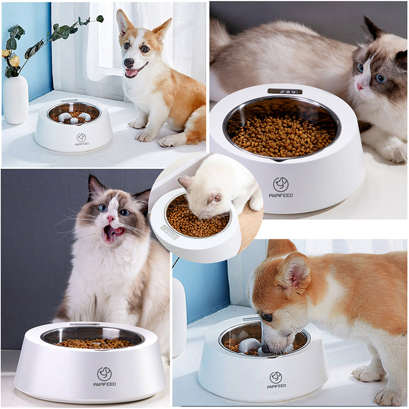 Gamelle à alimentation lente pour animaux de compagnie qui aide à contrôler la vitesse de prise alimentaire