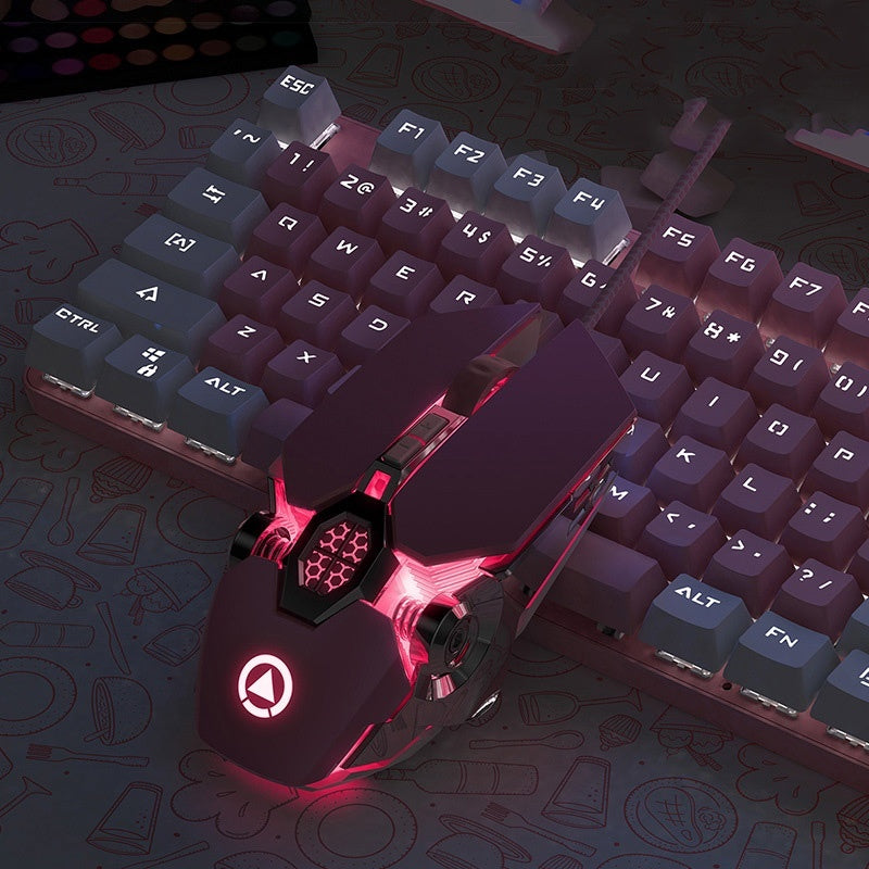 Wired Gaming Mouse with LED Light-Emitting Macro & Mute Function USB