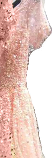 Host Evening Gown Sequin Beading Cocktail Dress in Organza Polyester