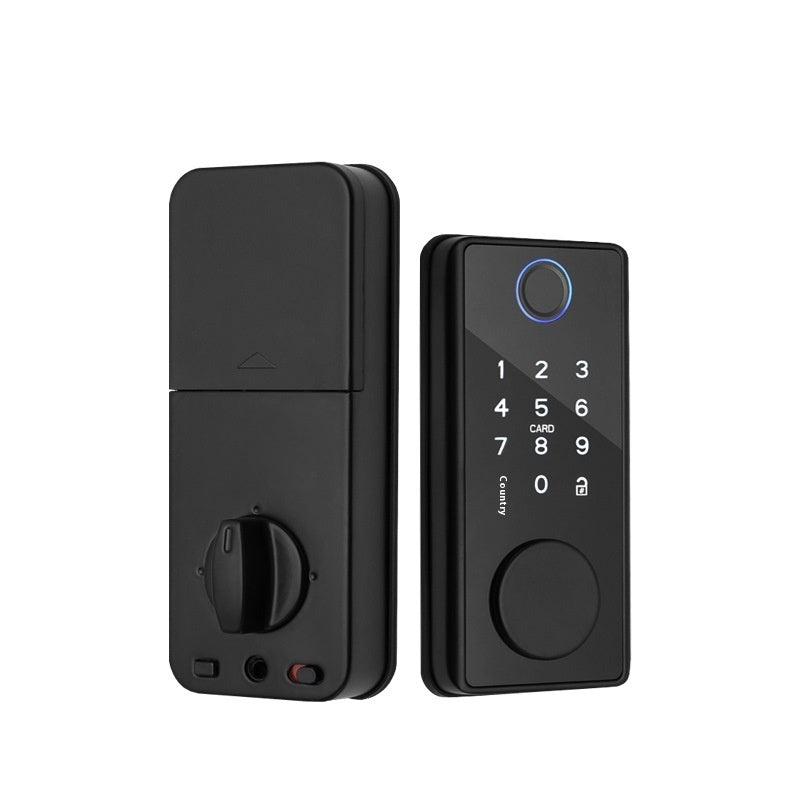 Graffiti Smart Fingerprint Door Lock for Wooden Doors with Auxiliary Closing