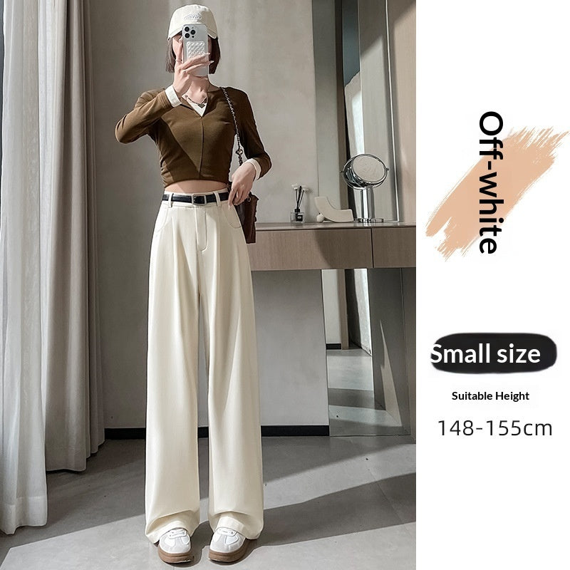 Spring Autumn High-End Loose Straight-Leg Pants for Slimming and Hip Coverage
