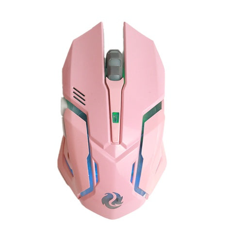 Souris de jeu sans fil, silencieuse et ergonomique 1600 DPI