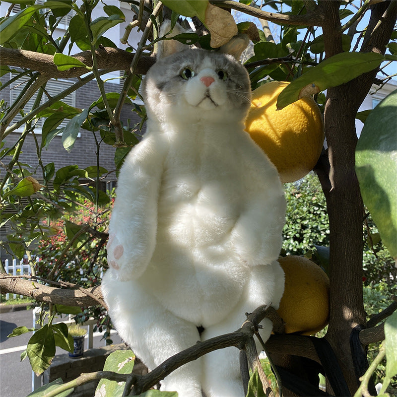 Sac à dos en peluche chat mode femme 22x12x14cm