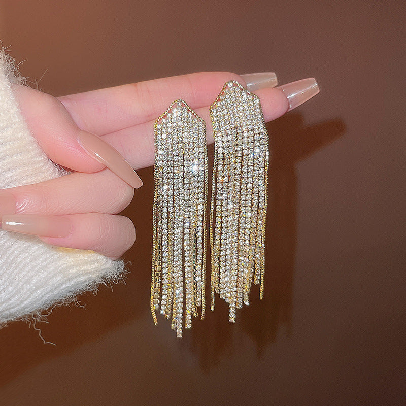 Silver Needle Exquisite Full Diamond Long Fringe Earrings