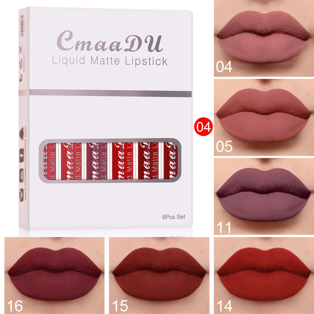 🎁 6 boîtes de rouge à lèvres mat non collant, waterproof et longue tenue (100% de réduction)