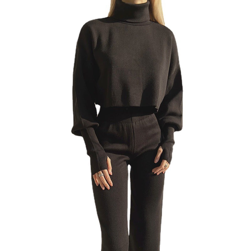 Haut ample à col roulé et manches longues pour femme, collection automne-hiver européenne et américaine