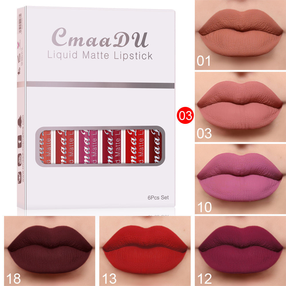 🎁 6 boîtes de rouge à lèvres mat non collant, waterproof et longue tenue (100% de réduction)