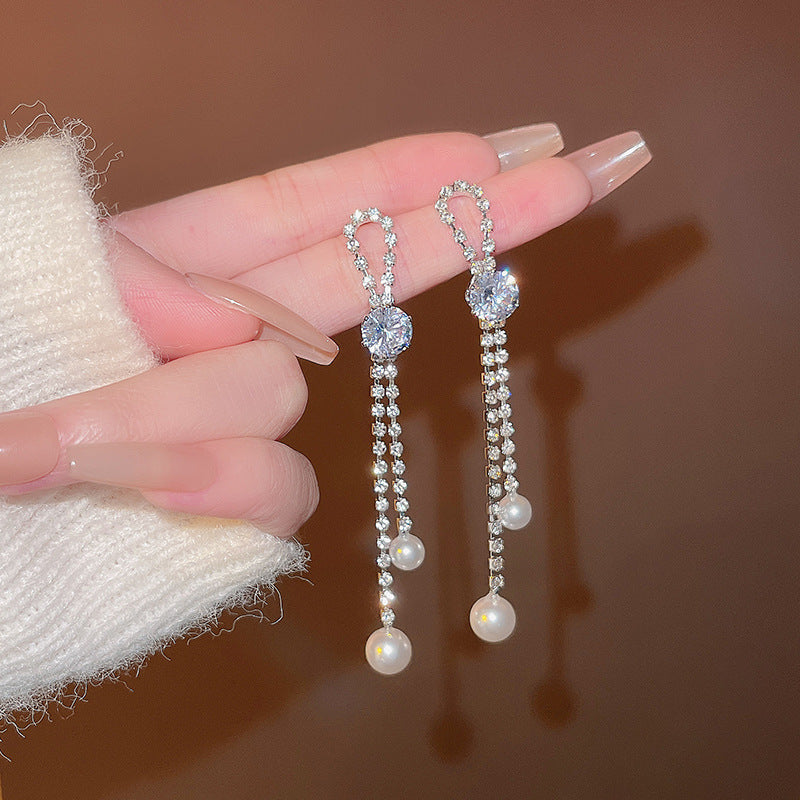 Silver Needle Exquisite Full Diamond Long Fringe Earrings