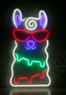 LED Neon Light with Acrylic Back Panel USB Powered Room Night Decoration