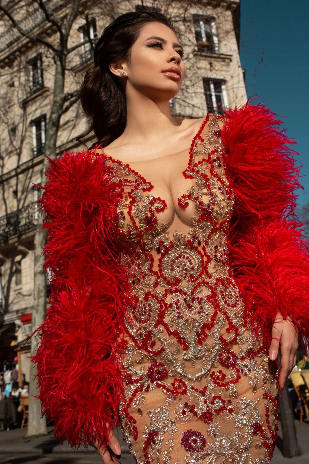 Red Feather Mesh Rhinestone Dress with Long Sleeves for Women
