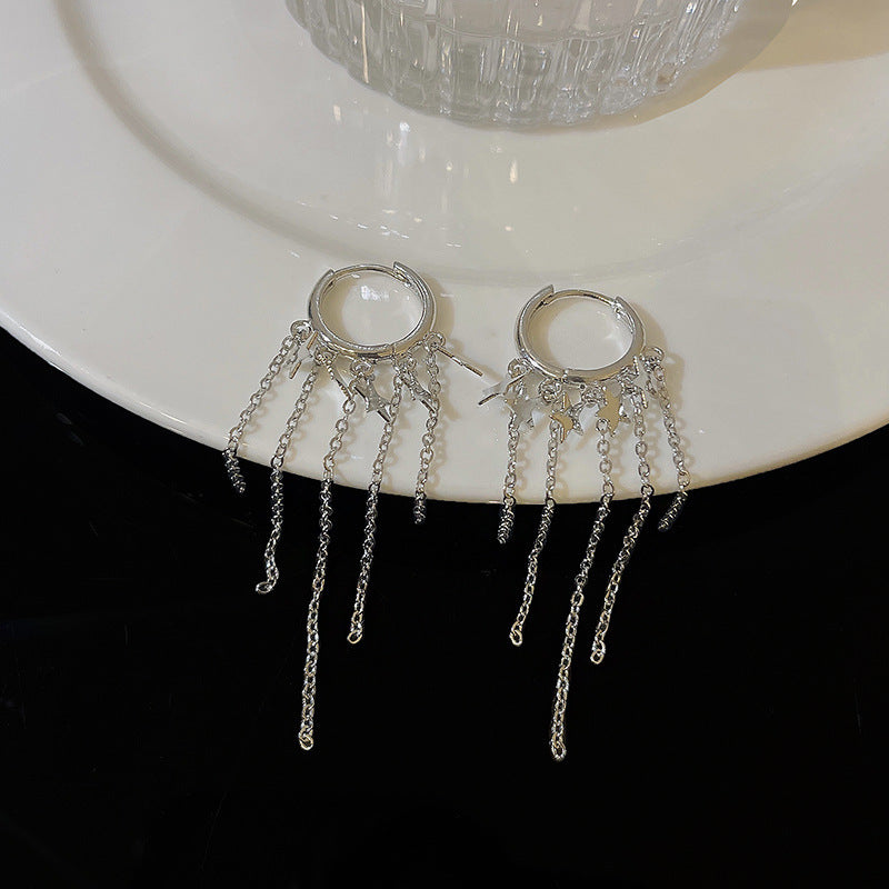 Silver Needle Exquisite Full Diamond Long Fringe Earrings