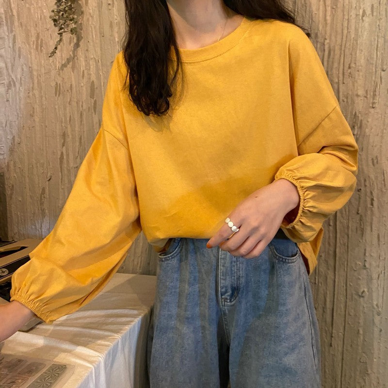 Slimming Lantern Sleeve Sweater Pullover
