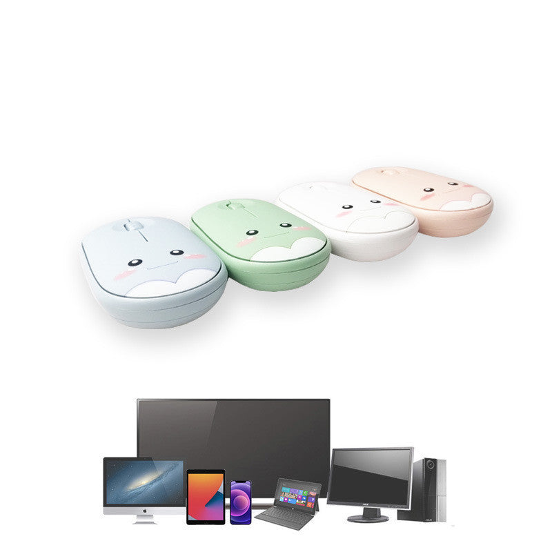 Factory Wholesale Wireless Mouse Cute Bluetooth Dual Mode Mute