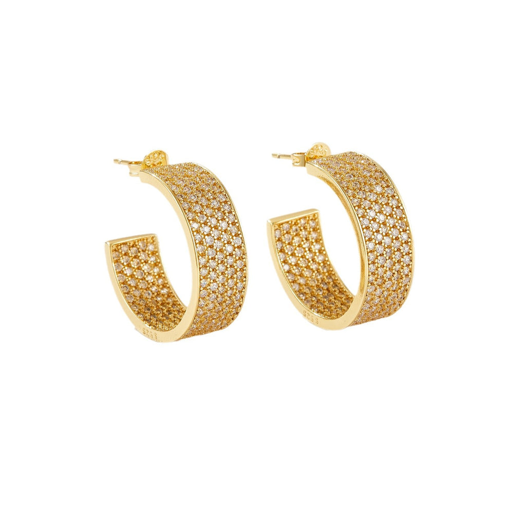 Men's Hip Hop Full Diamond Earrings with Platinum & 18K Gold Electroplating