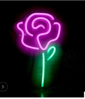 LED Neon Light with Acrylic Back Panel USB Powered Room Night Decoration