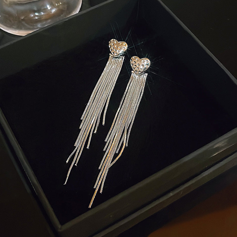 Silver Needle Exquisite Full Diamond Long Fringe Earrings