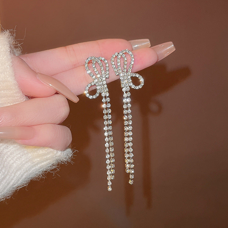 Silver Needle Exquisite Full Diamond Long Fringe Earrings