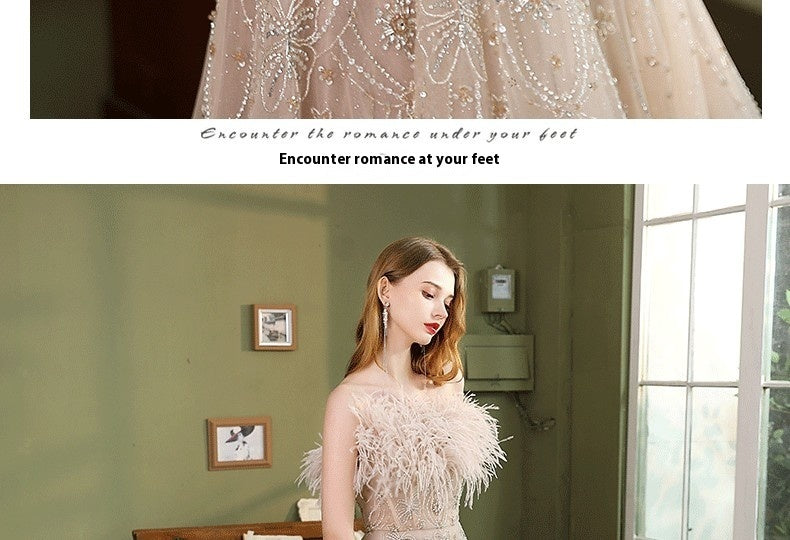 Performance Host Banquet Feather Evening Dress