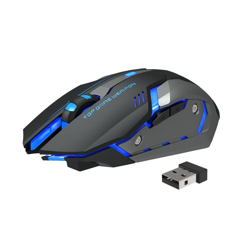 Souris de jeu sans fil, silencieuse et ergonomique 1600 DPI