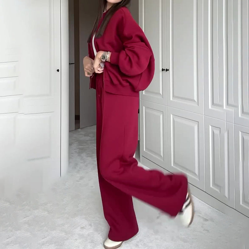 Solid Color Gray Polyester Zip Sweater & Casual Trousers Suit for Women