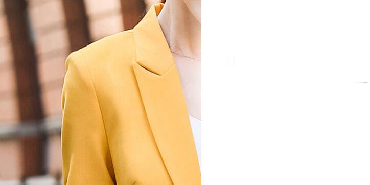 Tailleur professionnel élégant et raffiné pour femme, couleur unie