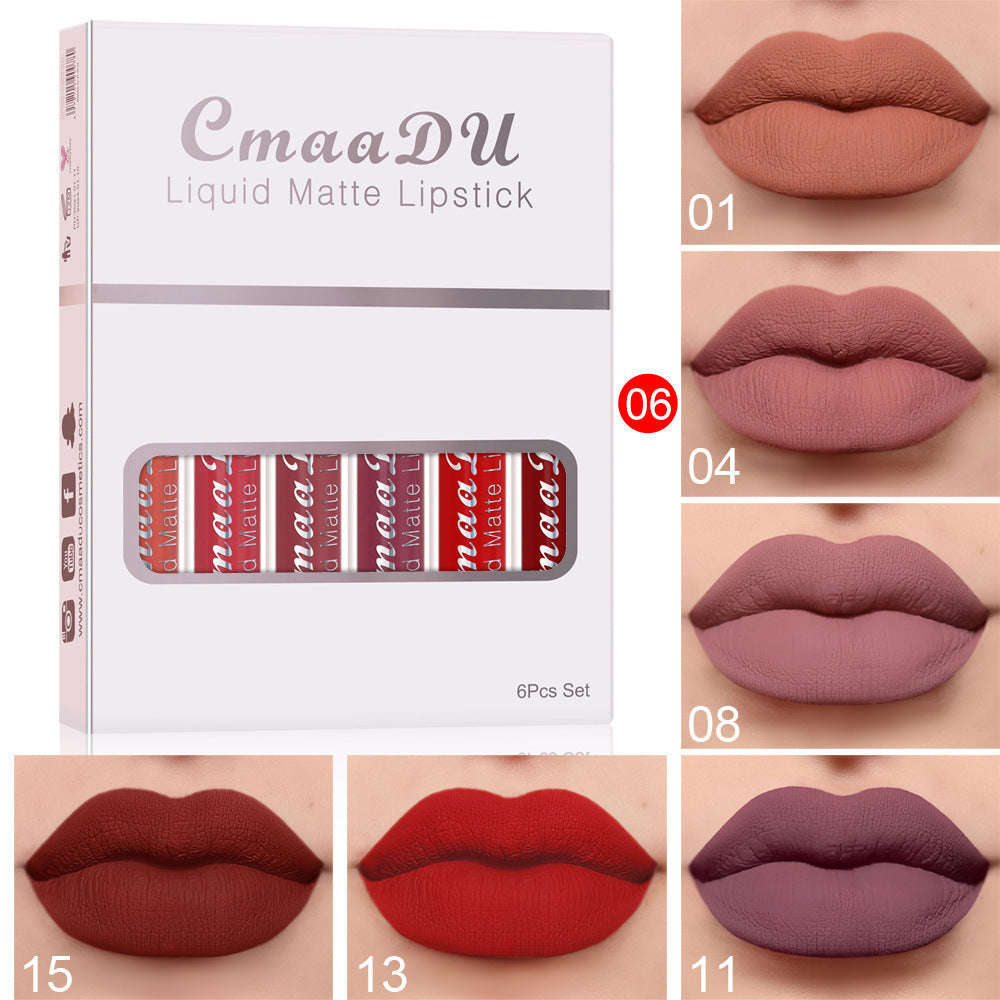 🎁 6 boîtes de rouge à lèvres mat non collant, waterproof et longue tenue (100% de réduction)