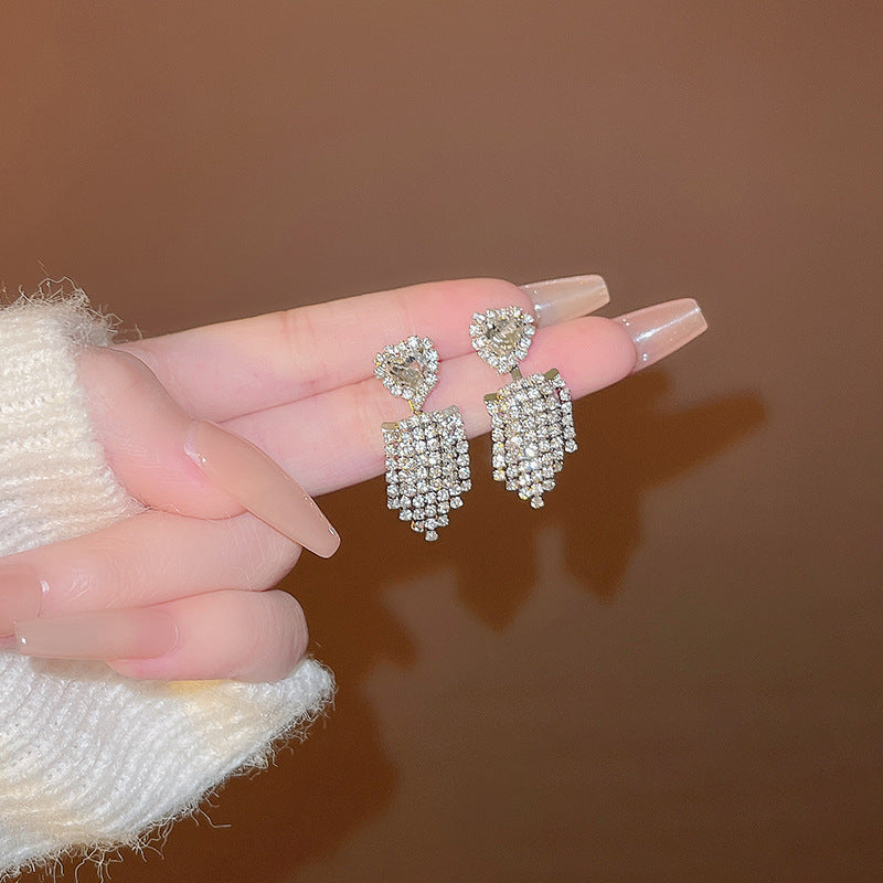 Silver Needle Exquisite Full Diamond Long Fringe Earrings