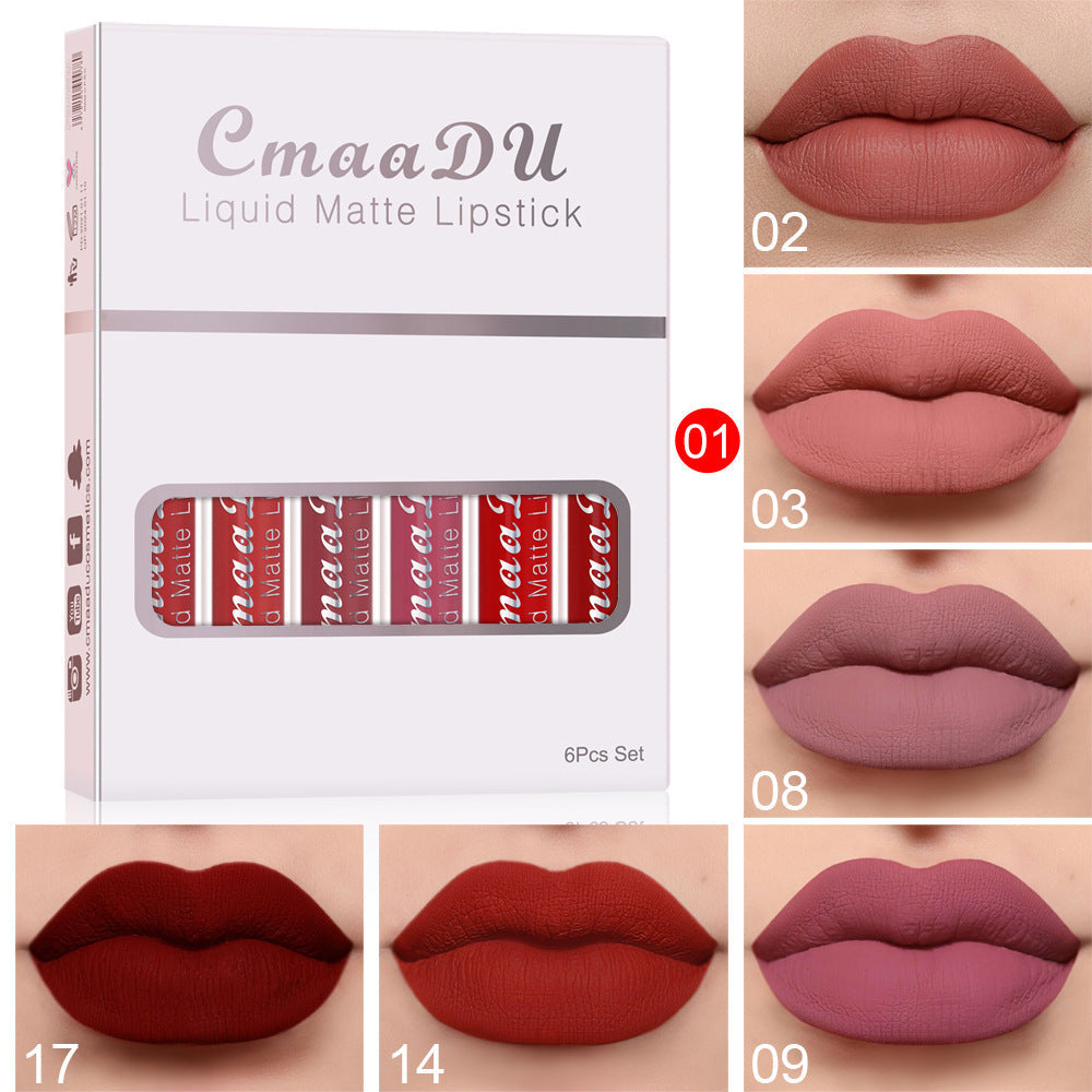 🎁 6 boîtes de rouge à lèvres mat non collant, waterproof et longue tenue (100% de réduction)