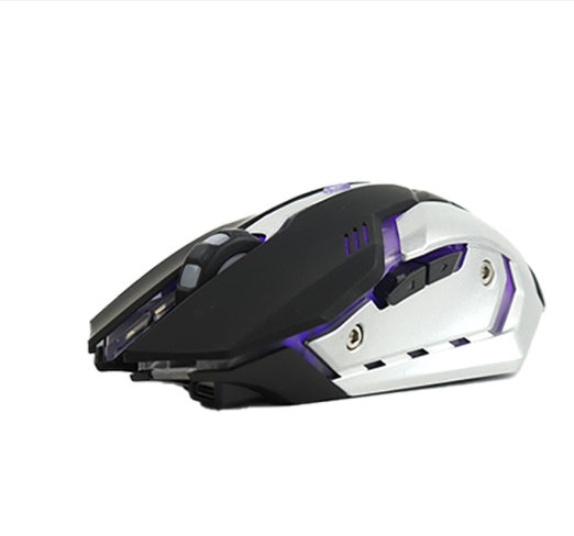 Souris de jeu sans fil, silencieuse et ergonomique 1600 DPI