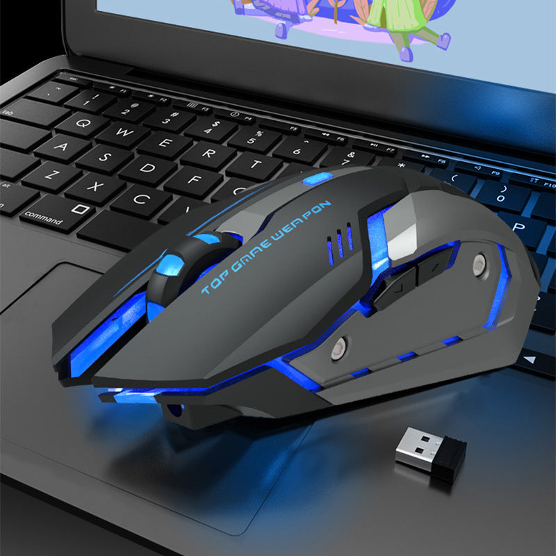 Souris de jeu sans fil, silencieuse et ergonomique 1600 DPI