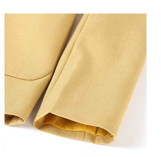 Spring & Autumn Commuter Women's Suits - Polyester Blend