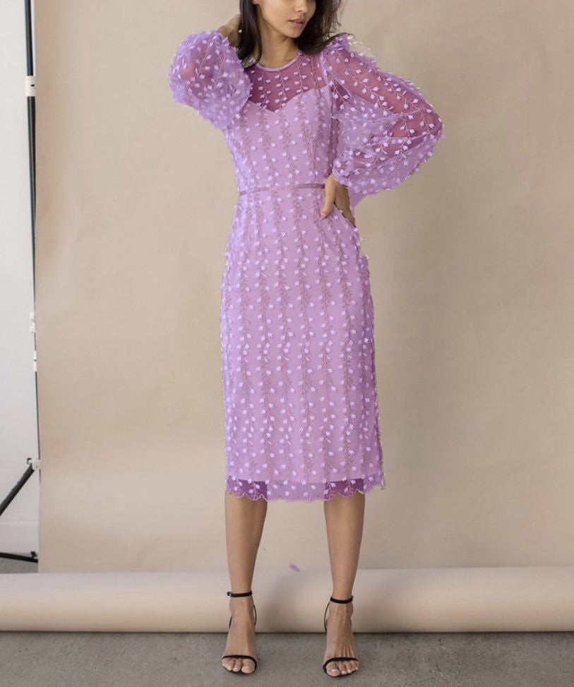 Ladylike Embroidered Striped Mesh Dress Polyester Fiber