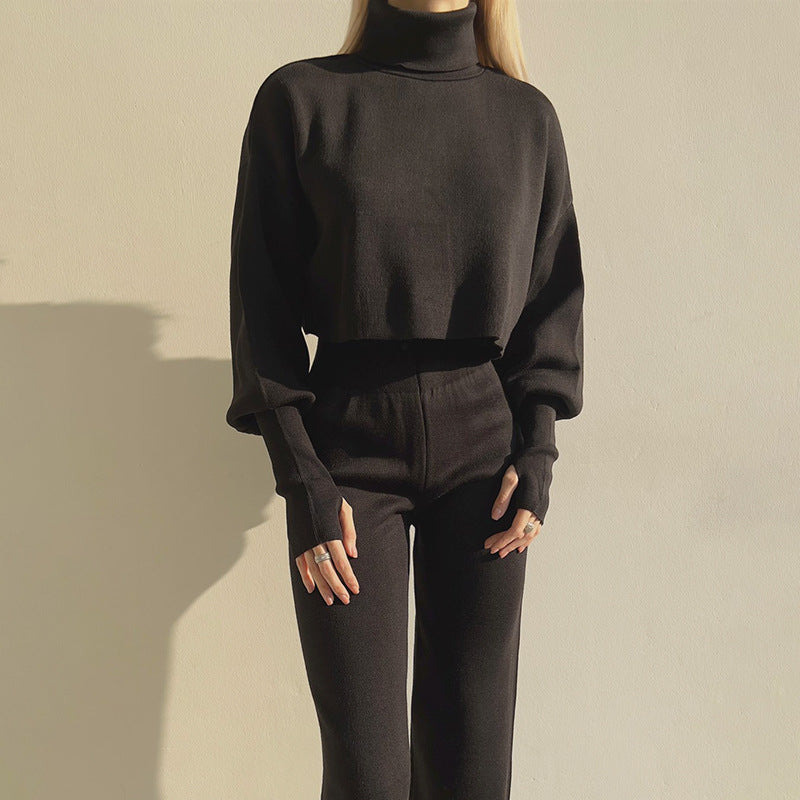 Haut ample à col roulé et manches longues pour femme, collection automne-hiver européenne et américaine
